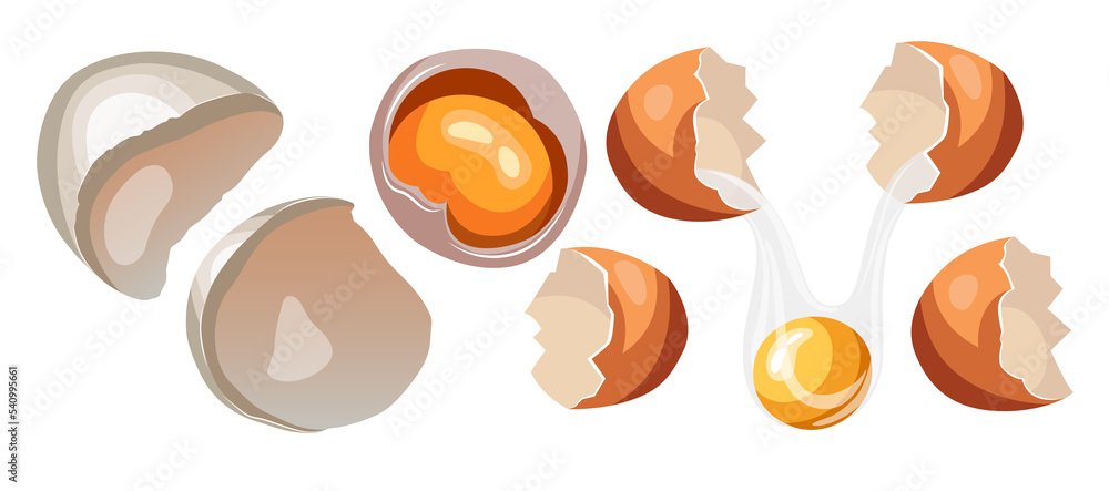 Flat illustration of broken eggs, cracked eggs, half shell with yolk and white, empty shell, hanging egg isolated on transparent background. Front view, view from above. Flat illustration of broken eggs, cracked eggs, half shell with yolk and white, empty shell, hanging egg isolated on transparent background. Front view, view from above.