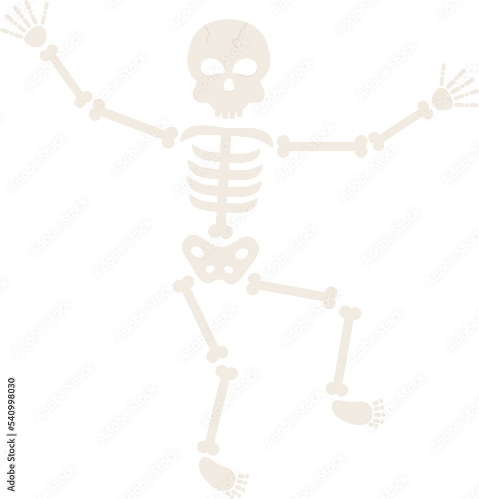 This is a skeleton This is a skeleton