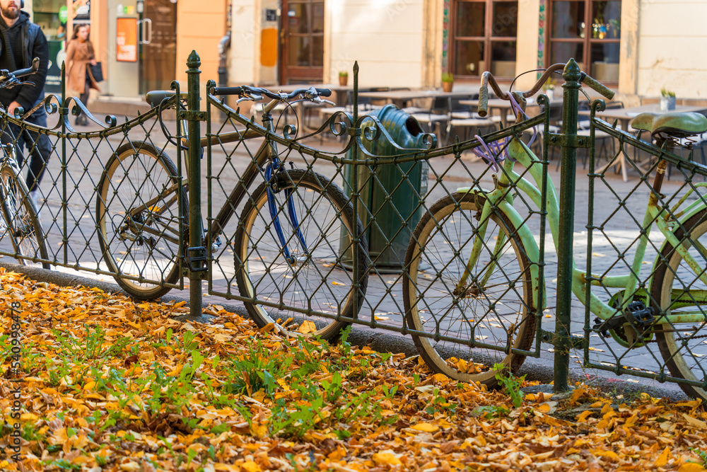 Bicycles on the side of the city road near the metal fence of the alley with golden autumn leaves, autumn sunny day on the city street