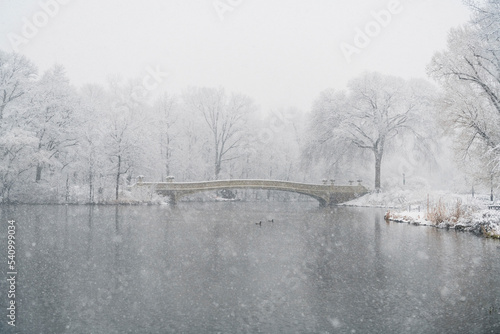 Bow bridge over lake during snowfall photo