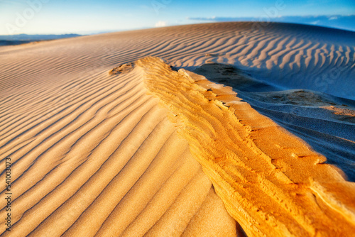 Sand. Platja del Fangar (Fangar Beach). Ebro Delta. Tarragona province. Spain photo