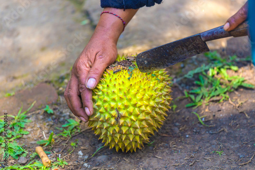 Man with durian photo