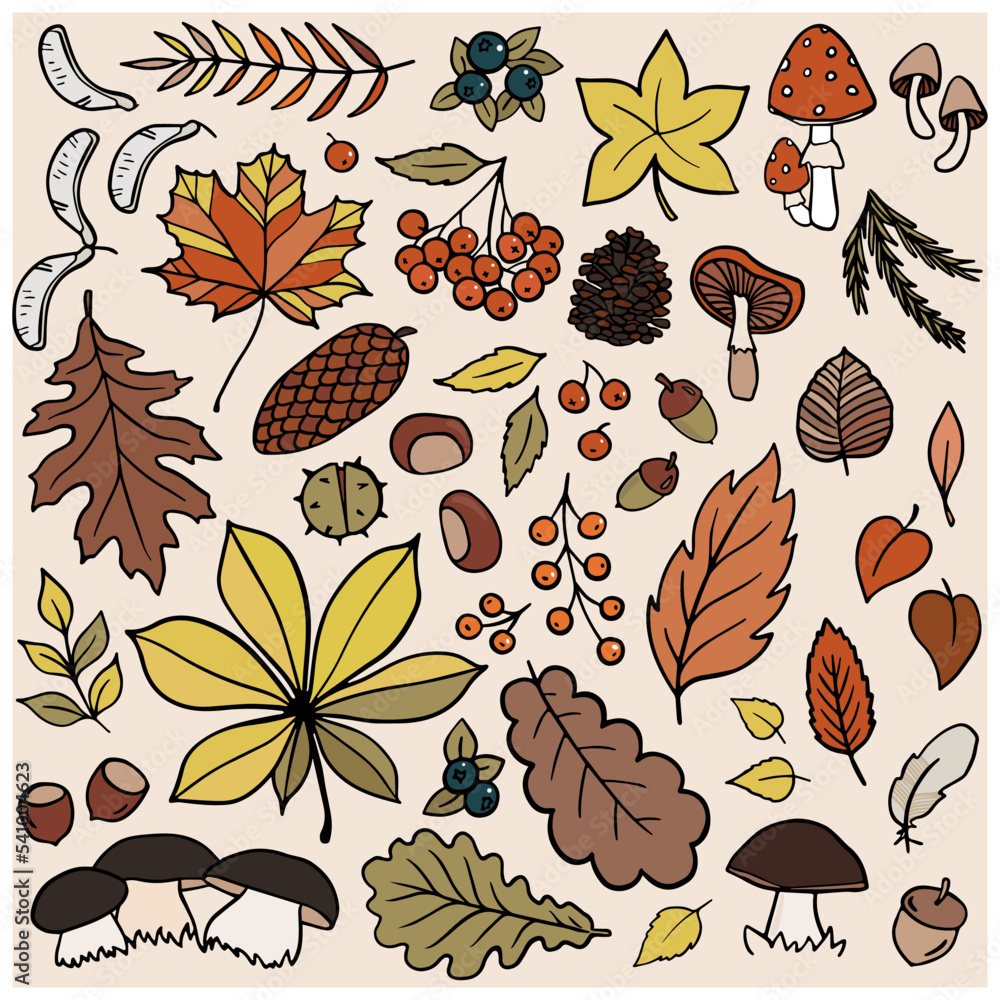 Fall Autumn Outdoor Doodle linear outline colorful vector seasonal illustration set for web digital projects and bullet journal isolated on light background