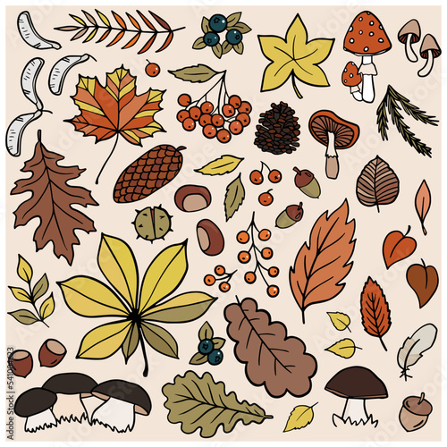 Obraz na płótnie Fall Autumn Outdoor Doodle linear outline colorful vector seasonal illustration set for web digital projects and bullet journal isolated on light background w salonie