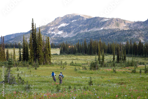 Biking in alpine meadow, Sol Mountain, BC photo