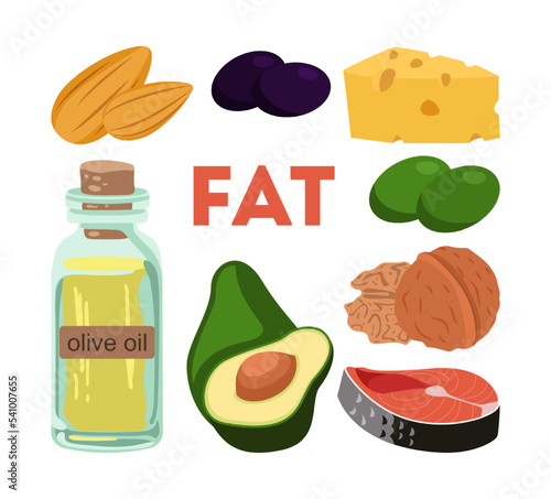 High fat food set. Vector illustrations of fatty healthy products. Cartoon olive oil glass bottle and avocado fruit, nuts and cheese, salmon isolated on white. Natural nutrition, diet concept