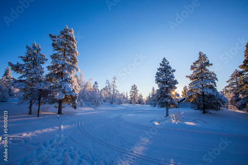 Winter landscape in Pallas Yllastunturi National Park, Lapland, Finland photo