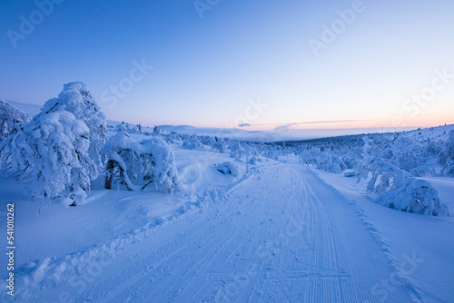 Winter landscape in Pallas Yllastunturi National Park, Lapland, Finland