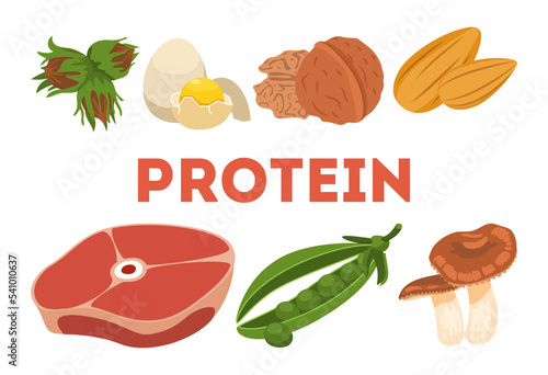 High protein food ingredients set. Vector illustrations of healthy sources of protein. Cartoon organic meat and eggs, nuts and beans, mushrooms isolated on white. Keto diet, nutrition concept