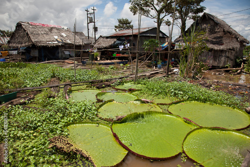 Floating homes in Belen, Iquitos, Peru photo
