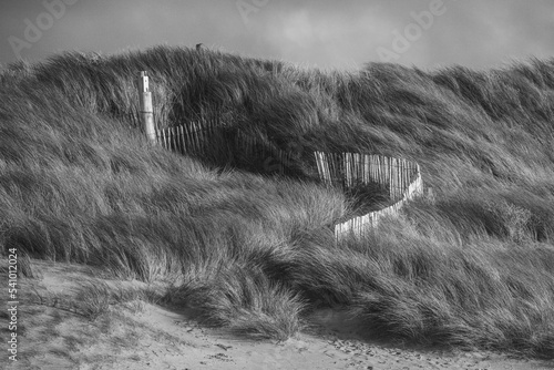 Obraz na płótnie Dunes en noir et blanc. w salonie