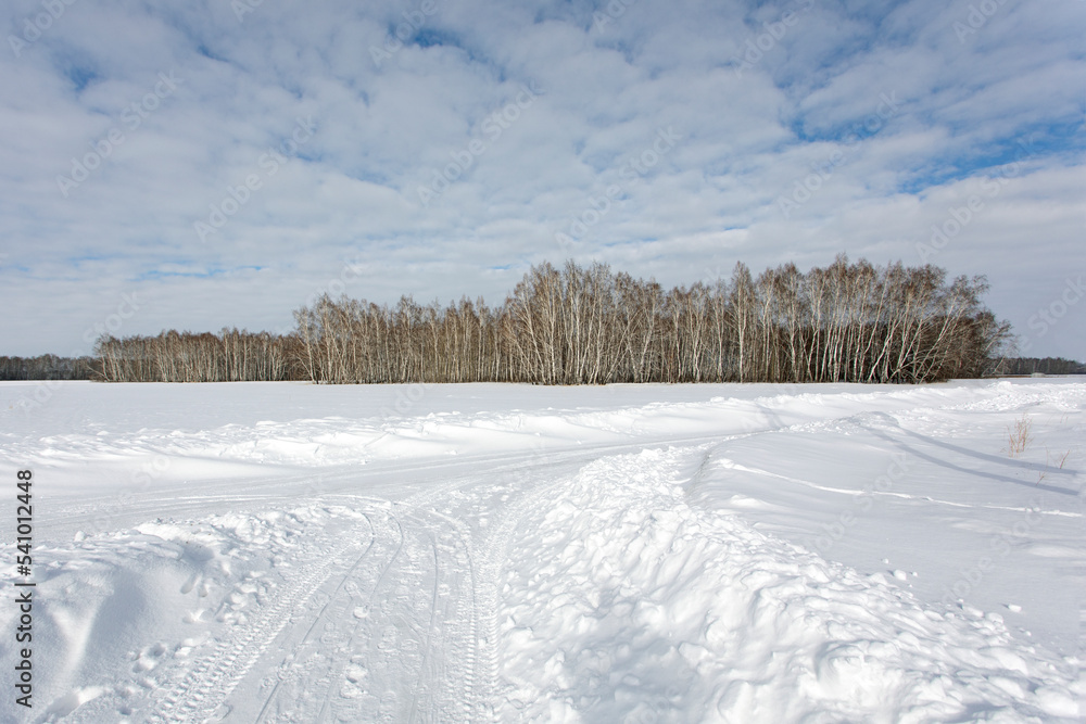 Winter landscape. Snow-covered field with forest and blue cloudy sky Winter landscape. Snow-covered field with forest and blue cloudy sky