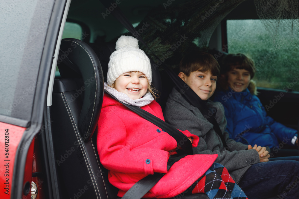Adorable little toddler girl and two school kids boys with Christmas tree inside of family car. Happy healthy children in winter fashion clothes buying big Xmas tree for traditional celebration. Adorable little toddler girl and two school kids boys with Christmas tree inside of family car. Happy healthy children in winter fashion clothes buying big Xmas tree for traditional celebration.