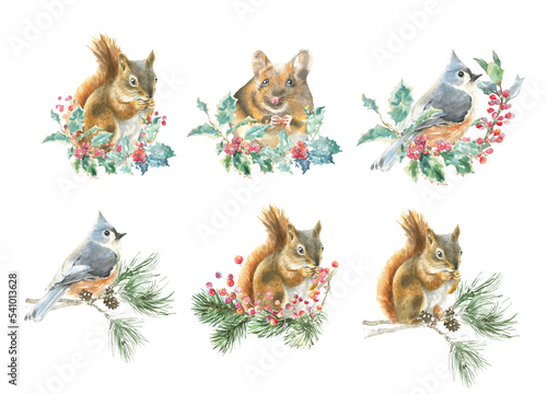 Watercolor christmas animal arrangements set. Squirrel, bird, mouse,poinsettia, holly berry, winter plants, flora. Bouquet,frame, greeting card, poster, gift,sticker, printable, postcard, diy.