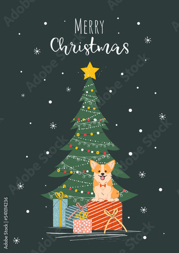 Christmas and New Year card with corgi dog with gift boxes and decorated Christmas tree. Vector.