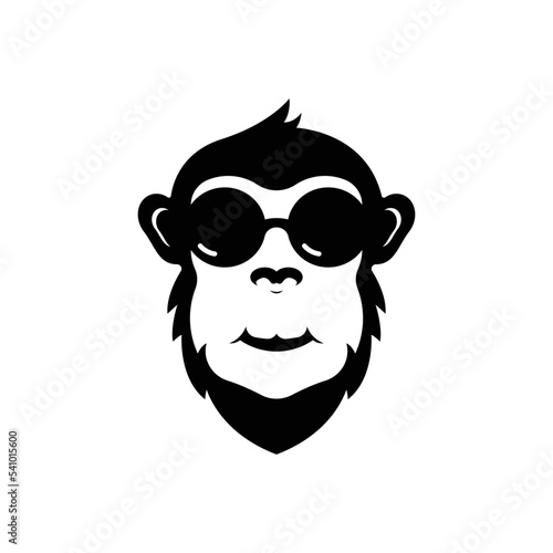 Photography monkey logo vector design on white background