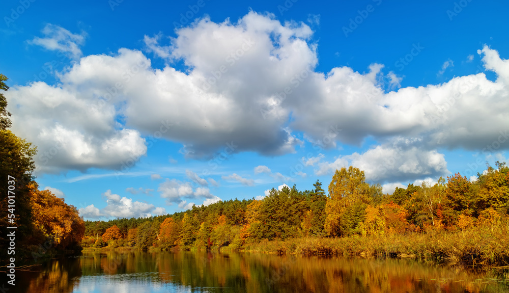 Autumn landscape - deciduous trees and blue sky.
