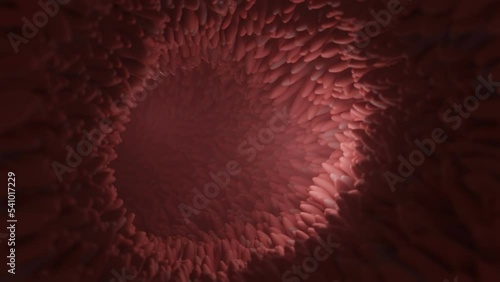 Microvilli on surface of digestive system or intestinal tract. 3D rendering. photo