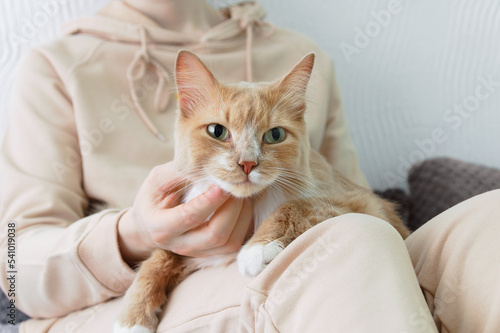 Beige cat in the arms of caucasian woman sitting on bed close-up.
