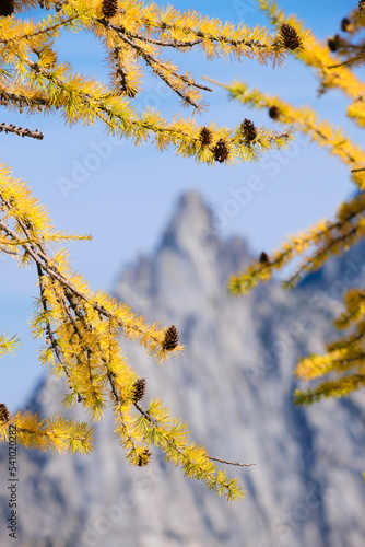 Enchantments - Golden larches and prusik peak