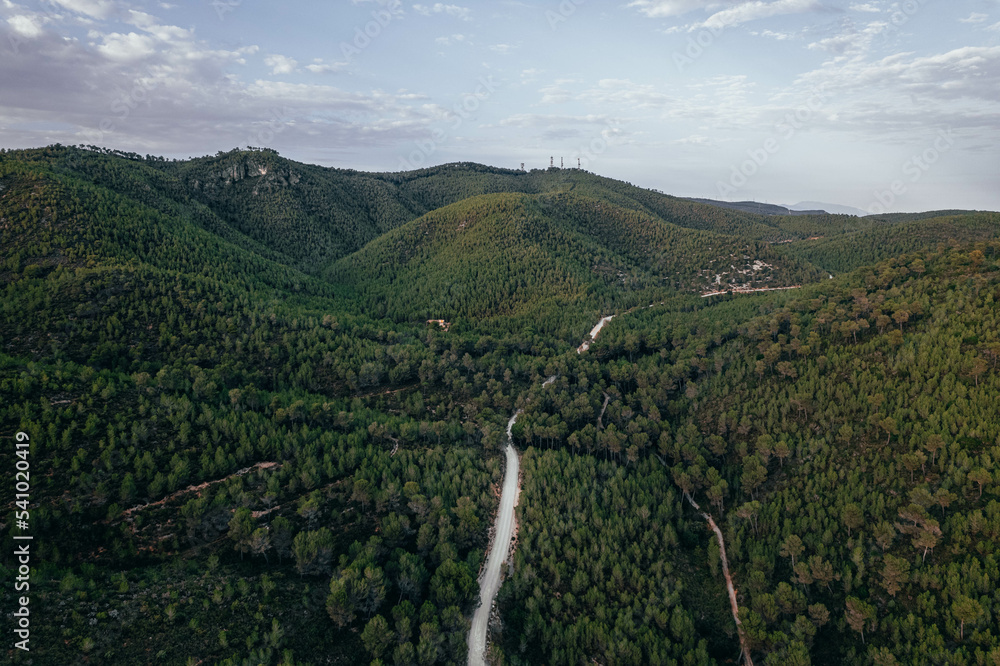 Drone view of savage landscape road in the middle of the forest and mountains