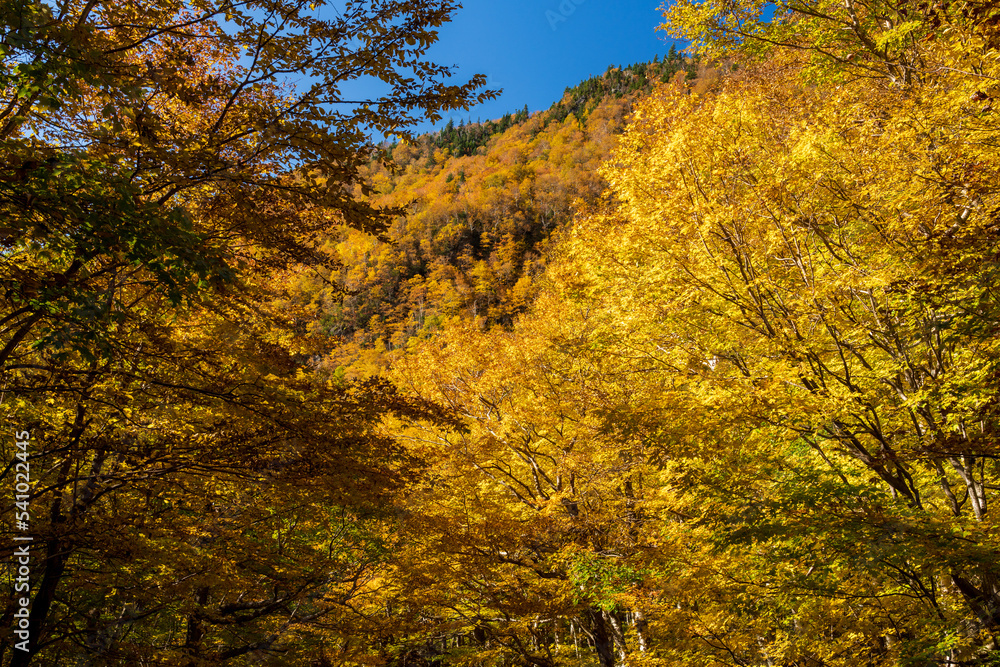 View through a frame of leaves towards the rocky summit of Smugglers Notch in the fall near Stowe, Vermont View through a frame of leaves towards the rocky summit of Smugglers Notch in the fall near Stowe, Vermont