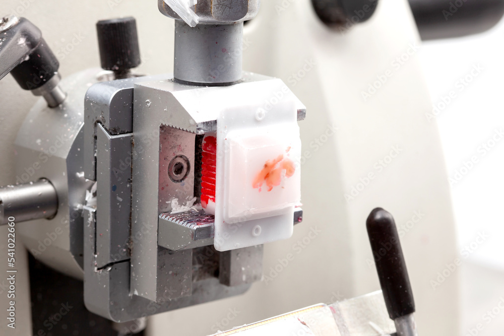 Paraffin-embedded specimen on a rotary microtome ready to be cut to ...