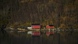 Norwegian fjord in autumn 