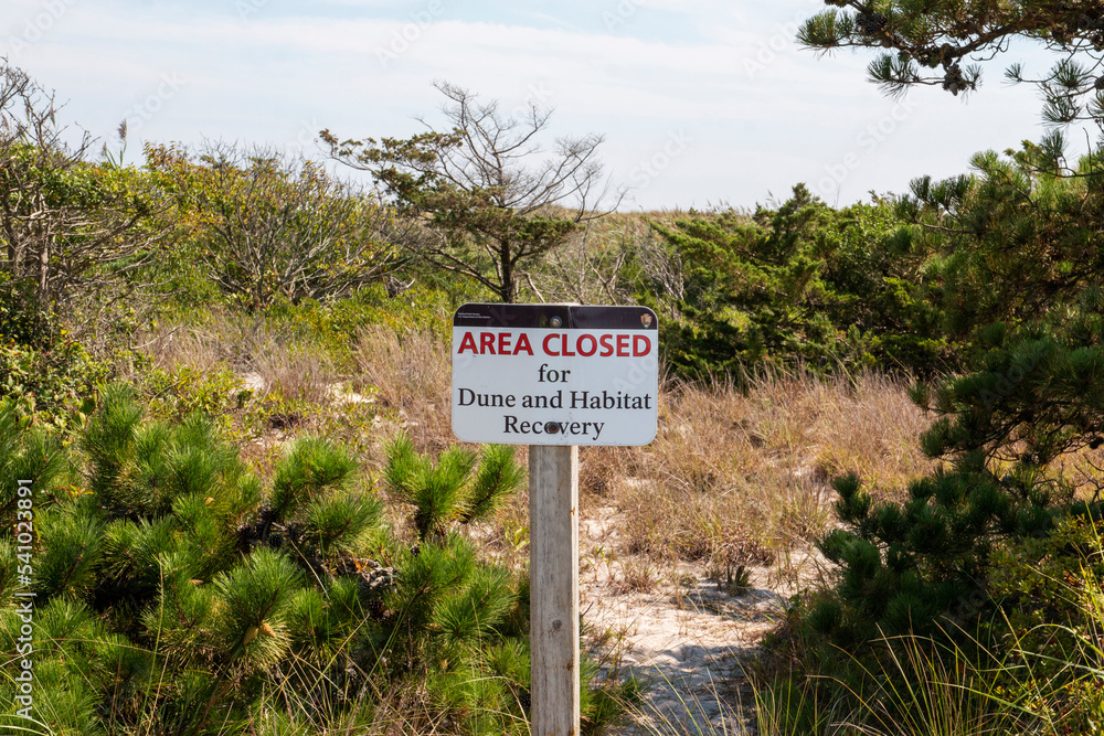 Area closed for dune habitat recovery sign