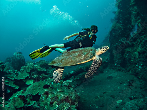 Young woman diver with a sea turtle on the coral reef in Tulamben dive site, Bali, Indonesia © Natalia