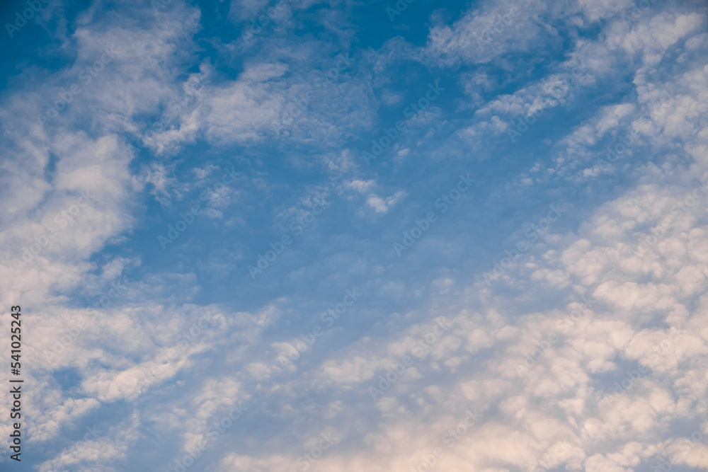 Altocumulus clouds with blue sky in the morning. Middle level layer clouds, extraordinary cloud formation, winter season is coming concept.