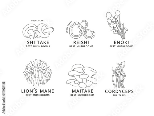 Vector set of icons in linear style - enok, shiitaki, maitake, cordyceps, reishi and lion's mane mushrooms. Logo signs.