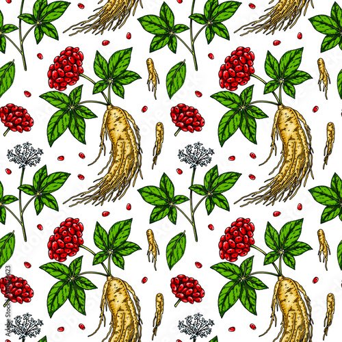 Colorful Hand drawn ginseng seamless pattern. Vector illustration in sketch style. Medicinal plant background. Botany design