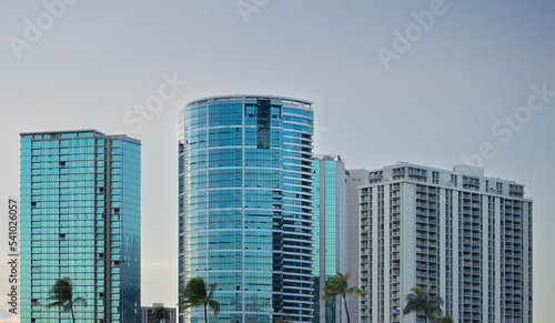 Honolulu skyline at sunset with palm trees in front