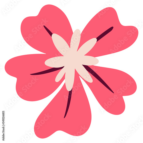 Cute cosmos flower in trendy hand drawn illustration for design element