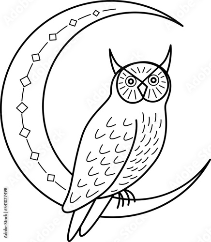 Owl sits on a moon. Vector black and white illustration in line art style.