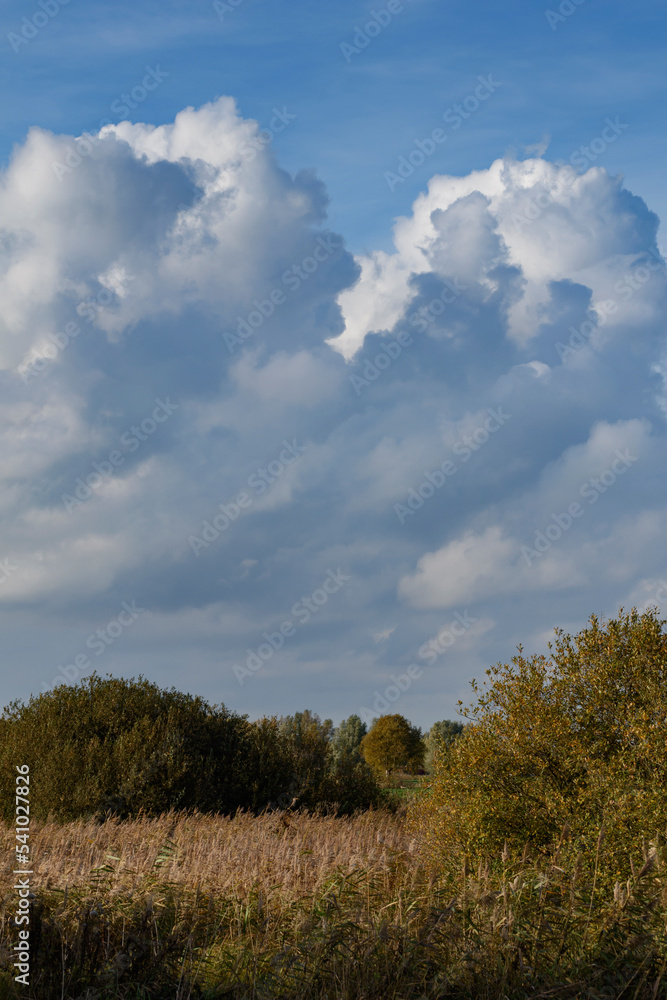dramatic clouds over wetland landscape dramatic clouds over wetland landscape