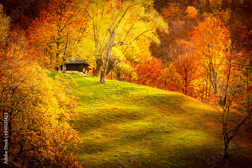 Autumn in Buila Vanturarita National Park, Carpathian Mountains, Romania. Patrunsa hermitage surrounded by vivid fall colors of the forest. photo