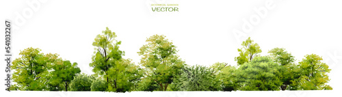 Print op canvas Vector watercolor of tree side view isolated on white background for landscape
