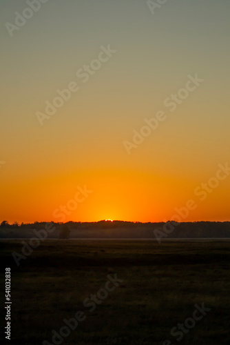 sunset over the grassland