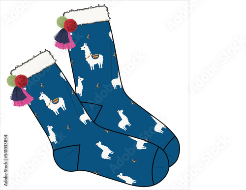 TRENDY PAIR OF SOCKS WITH POM POM AND TASSELS IN EDITABLE VECTOR FILE