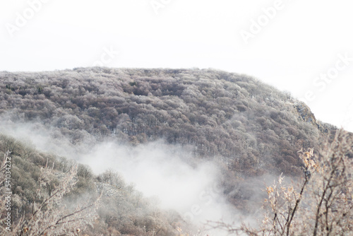 fog in the mountains