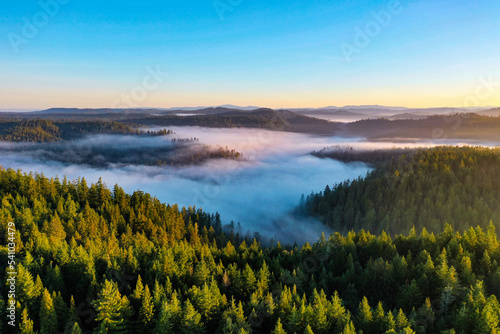 Clouds and fog gently rolling into a valley between two mountains on an early morning  © Hunter