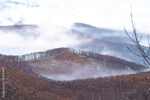 snow covered mountains