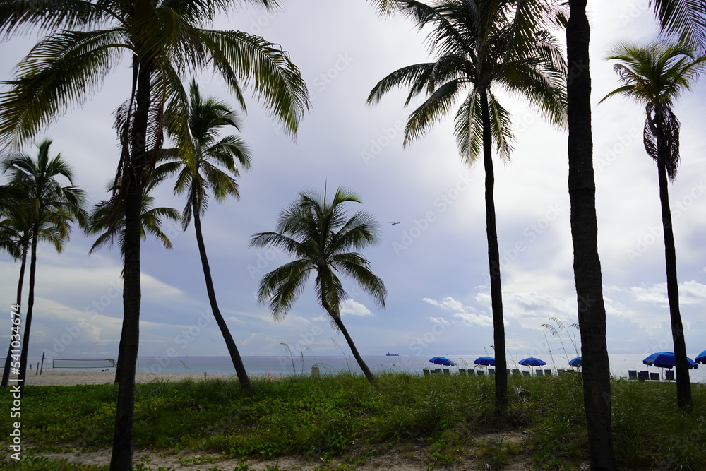 Ft. Lauderdale Beach