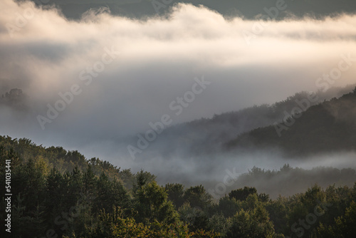 Misty forest. View from mountains onthe valley covered by fog and clouds. Beautiful foggy morning in Bieszczady, Poland © Przemysław Głowik