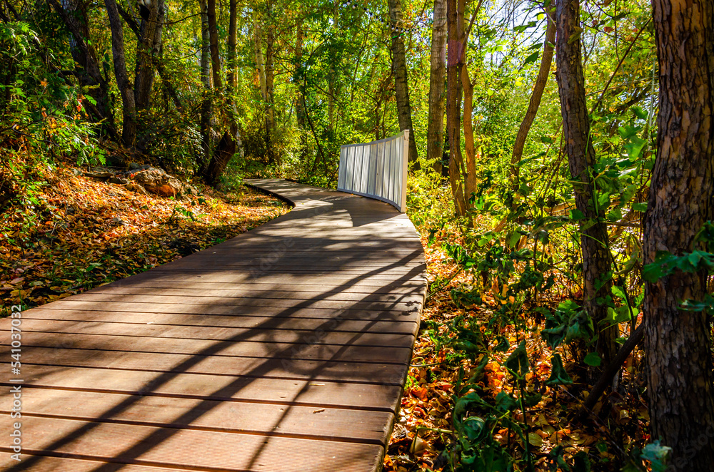 A winding path made of wood in a park in the forest. A winding path made of wood in a park in the forest.