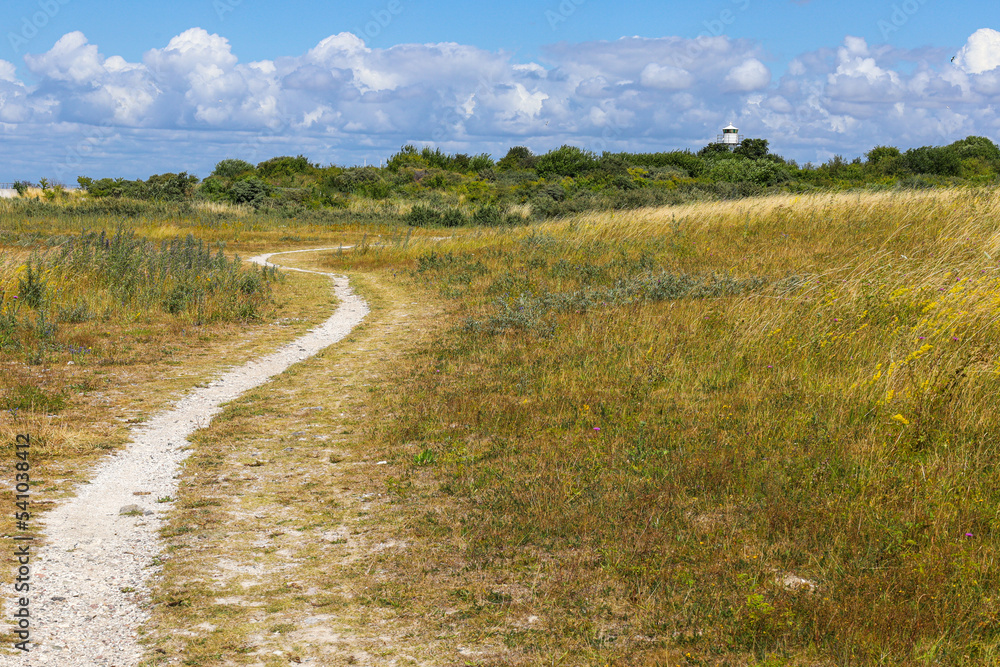 path in the field path in the field