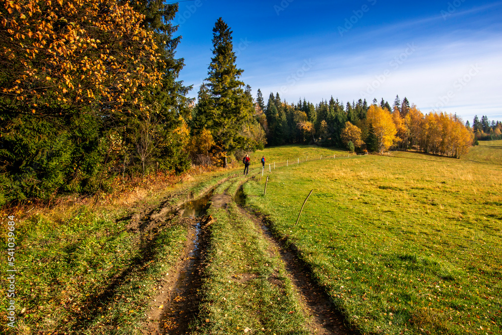 Naklejka premium Jesień w Gorcach - szlak na Turbacz i Stare Wierchy