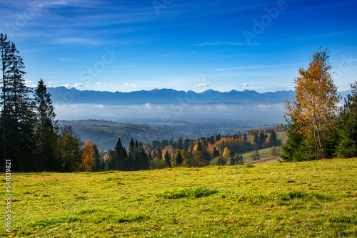 Fototapeta Naklejka Na Ścianę i Meble -  Tatry i Klikuszowa z Gorców